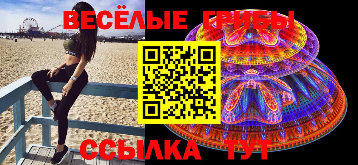 Валуйки  Псилоцибиновые грибы Psilocybine cubensis  наркотики  Вход с VPN 